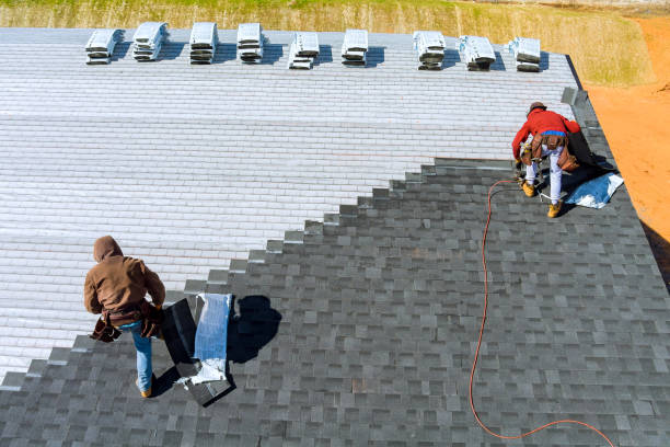 Best Storm Damage Roof Repair  in The Homesteads, TX